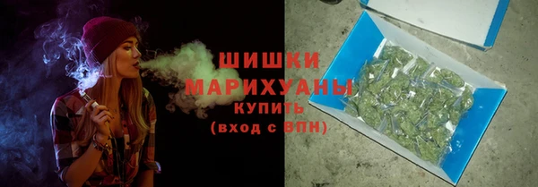 прущий лед Бородино