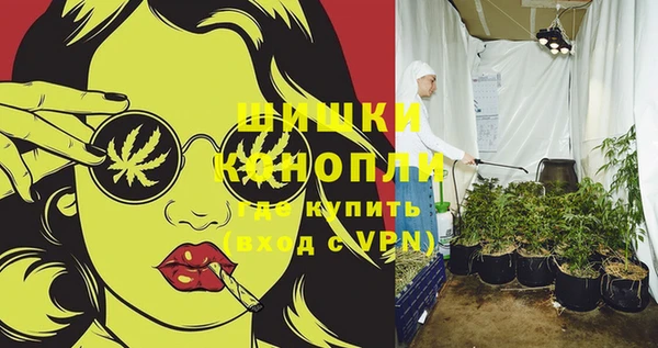 таблы Богородицк