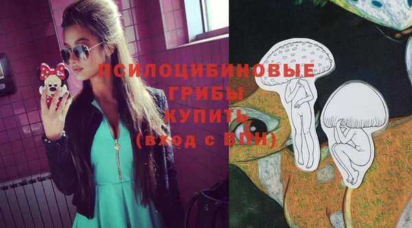 таблы Богородицк
