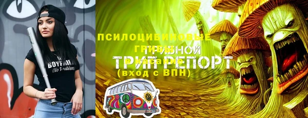 марки nbome Богданович